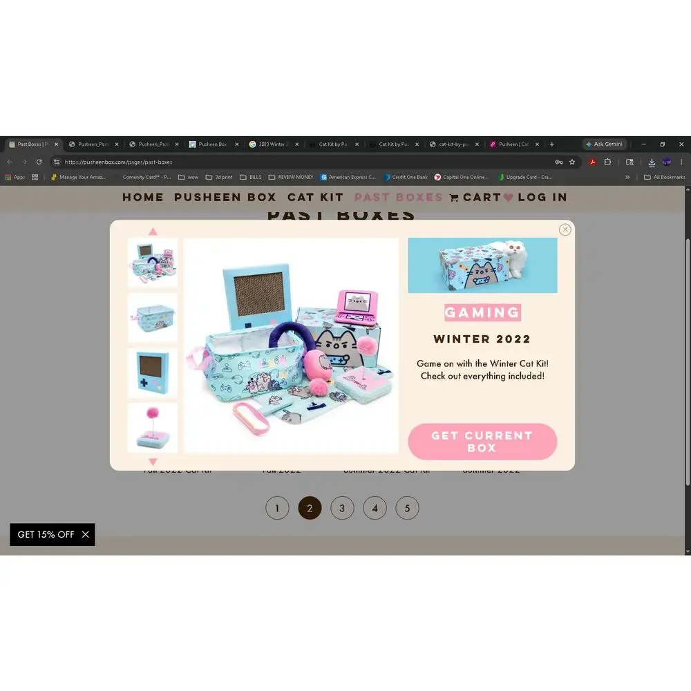 Winter 2022 Cat Kit Pusheen box GAMING